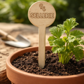 Pflanzenstecker Sellerie – Lasergravur Gartendeko Geschenk | Holzschild Gemüsegarten