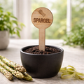 Pflanzenstecker Spargel – Lasergravur Gartendeko Geschenk | Holzschild Gemüsegarten
